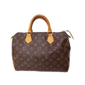 Louis Vuitton Monogram Speedy Handbag